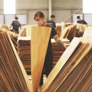 Breakthrough measures needed for 18 billion USD wood export goal
