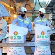 Seizing opportunities from&nbsp;fertilizer stocks
