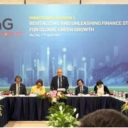 Green growth – an irreversible global trend: P4G discussions