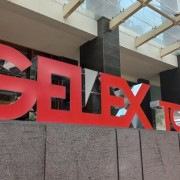 What challenges lie ahead for&nbsp;GELEX?