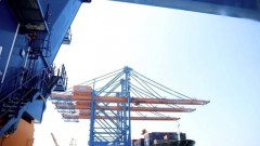 US farm produce exports to Vietnam likely to rise with import tariff cut