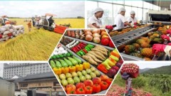 Vietnam to diversify markets for agricultural products amid global trade shifts