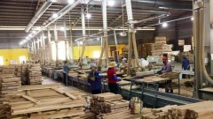 Vietnamese exporters reinvent solutions on US’s 90-day pause on reciprocal tariffs