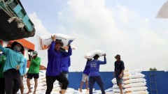 US tariff threat prompts Vietnam to map out agricultural growth scenarios