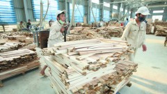 Challenges to Vietnam's Economic Growth