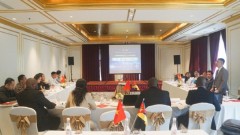 Unlocking Opportunities for Vietnamese Investors in Mozambique