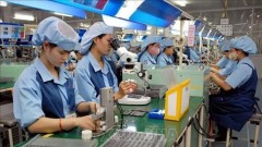 New Frontier: Elevating Viet Nam Up the Value Chain