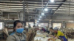 Wood industry proactively reduces impact from tariff policy