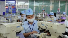 Private sector seen as key driver of Vietnam's economy