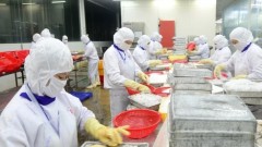 Bringing Vietnamese agricultural products into international retail systems