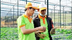 Promoting green startups