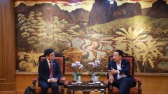 VCCI and USSEC promote sustainable soybean export cooperation
