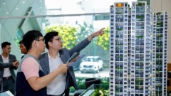 Regulations for reimbursement of land use fee should be amended: Expert