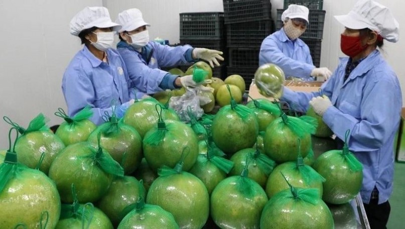 Plenty of room for&nbsp;Vietnamese businesses to expand market share in the UK