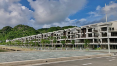 What outlook for VCG?