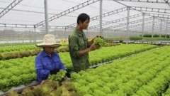 Boosting digital transformation in agricultural cooperatives