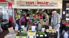 Vietnam urged to tap young overseas Vietnamese for global trade growth