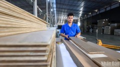 Resolution 68: Unlocking momentum for Vietnam's private economic development