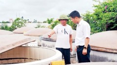 Revival of land at the edge of sea