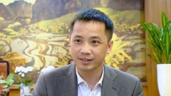 Vietnam’s domestic market emerges as lifeline amid export slump