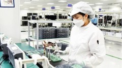 FDI maintains strong momentum