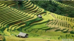 Restructuring tourism, preserving cultural identity