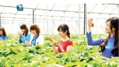 Promoting advantages of agricultural tourism