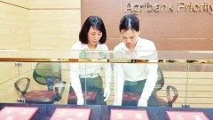 Synchronous and sustainable management of gold trading activities