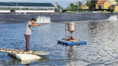 Private economy: A pioneering driver for&nbsp;agricultural development