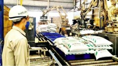 Viet Nam stabilises growth of chemical industry