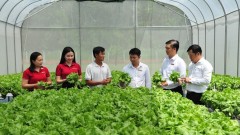 Legal reform needed to make agricultural insurance accessible for farmers