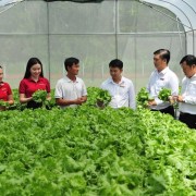 Legal reform needed to make agricultural insurance accessible for farmers
