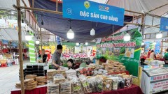 Support promotion and introduction of OCOP products to public