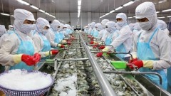 MPC eyes trillion-VND ambition