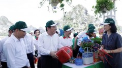 Vietnam acts to reduce plastic pollution