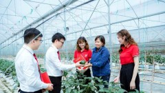 Opportunities and challenges of green credit