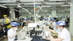 Outlook for&nbsp;the textile, seafood, rubber, and livestock industries amid tariffs