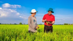 Efforts made to support development of private economy