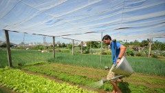 Adaptive tourism strategy ahead of administrative mergers