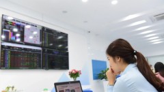 Vietnam stock market set to ride on local cash inflows in June