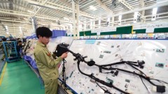 Challenges Facing Vietnamese Business Linkages in Global Supply Chains