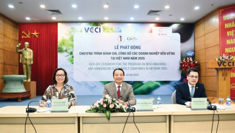 CSI 2025: 10 Years of Supporting Businesses in Advancing Sustainable Practices