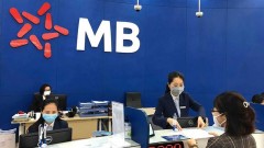 Competitive advantages as a push for&nbsp;MB