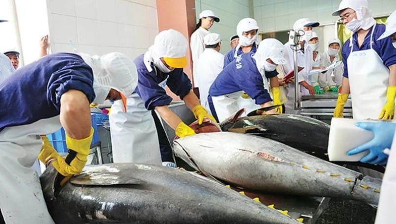 Stepping up IUU “yellow card” removal: Tightened control of imported and transiting albacore tuna