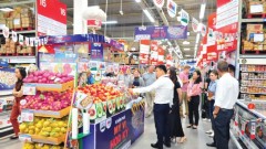 Vietnam - U.S: Collaborating to Remove Agri-Forestry-Fisheries Trade Barriers