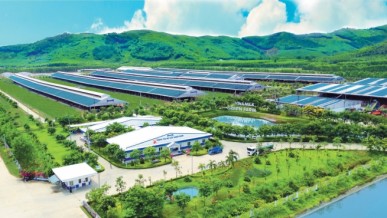 Significant Improvements in Environmental Management Quality