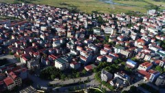 Dong Anh develops concentrated agricultural production areas