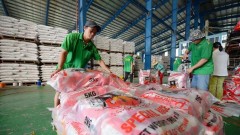 Market fluctuations challenge Viet Nam’s rice export sector