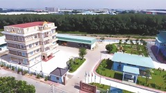 BWE’s core business is slowing down 