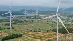 Vietnamese firms seek to gain foothold in global energy market